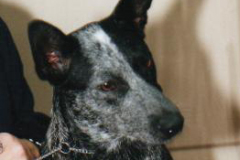 Ch Ambajaye Taleof To Citys